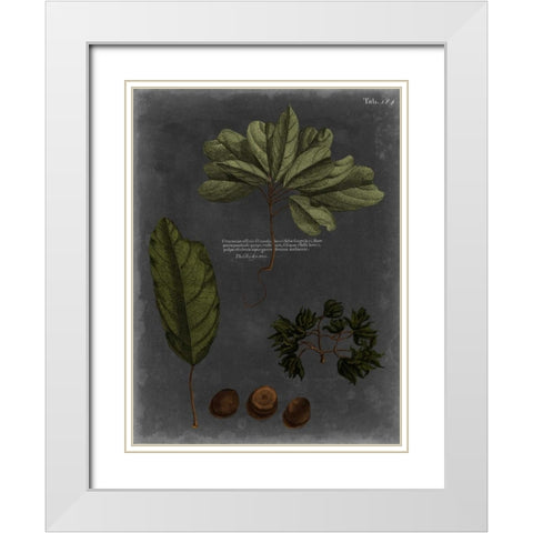 Foliage Dramatique VI White Modern Wood Framed Art Print with Double Matting by Vision Studio