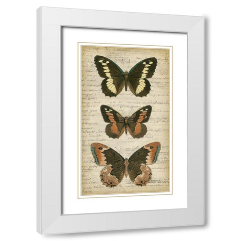Butterfly Script I White Modern Wood Framed Art Print with Double Matting by Vision Studio