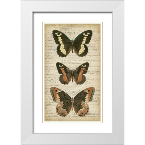 Butterfly Script I White Modern Wood Framed Art Print with Double Matting by Vision Studio