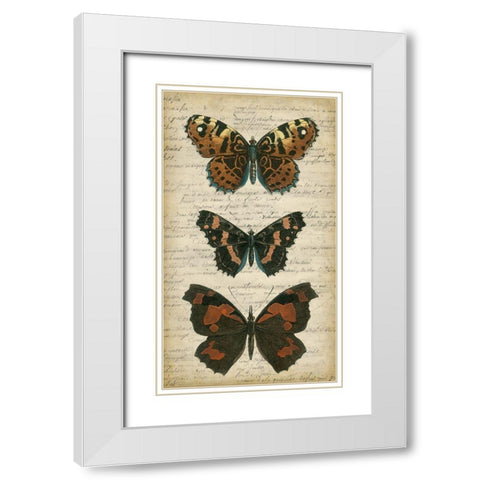 Butterfly Script II White Modern Wood Framed Art Print with Double Matting by Vision Studio