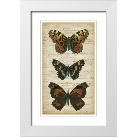 Butterfly Script II White Modern Wood Framed Art Print with Double Matting by Vision Studio