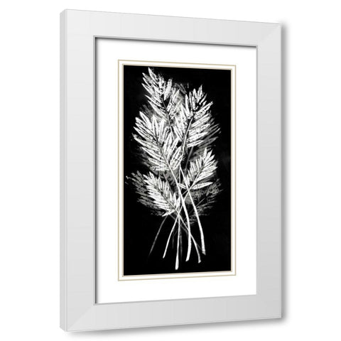 Palm Leaf Fresco II White Modern Wood Framed Art Print with Double Matting by Vision Studio