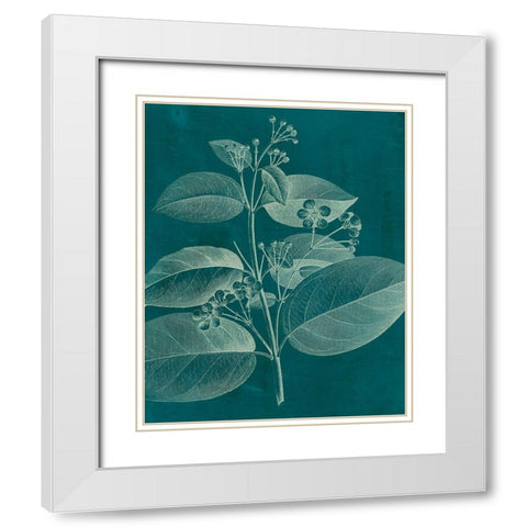 Modern Botany II White Modern Wood Framed Art Print with Double Matting by Vision Studio