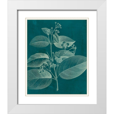 Modern Botany II White Modern Wood Framed Art Print with Double Matting by Vision Studio