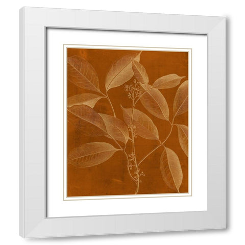 Modern Botany VI White Modern Wood Framed Art Print with Double Matting by Vision Studio