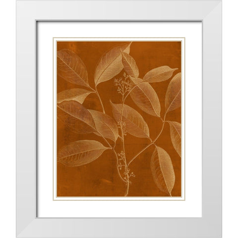 Modern Botany VI White Modern Wood Framed Art Print with Double Matting by Vision Studio
