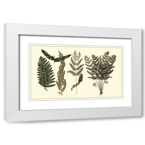 Fern Leaf Folio I White Modern Wood Framed Art Print with Double Matting by Oeder, Georg C.