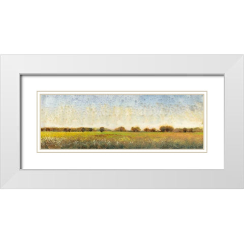 Flowering Meadow II White Modern Wood Framed Art Print with Double Matting by OToole, Tim