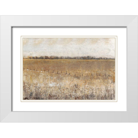 Fenced In I White Modern Wood Framed Art Print with Double Matting by OToole, Tim