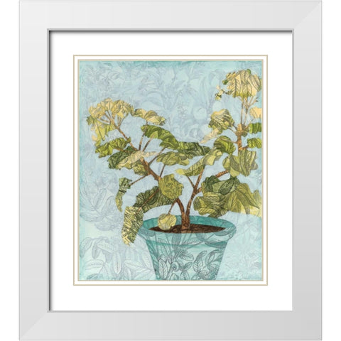 Conservatory Collage II White Modern Wood Framed Art Print with Double Matting by Meagher, Megan