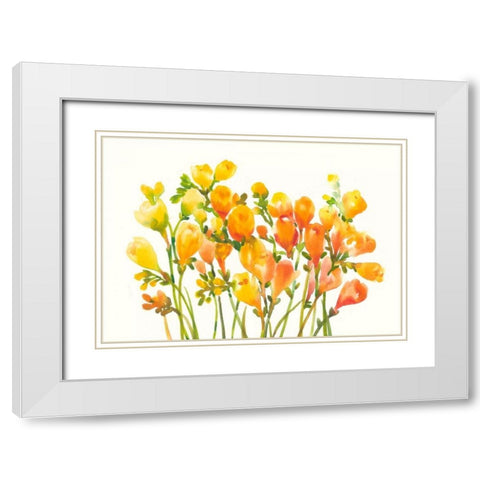 Freesia I White Modern Wood Framed Art Print with Double Matting by OToole, Tim