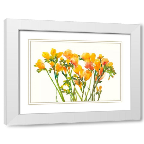 Freesia II White Modern Wood Framed Art Print with Double Matting by OToole, Tim