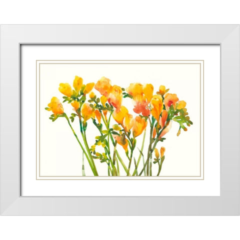Freesia II White Modern Wood Framed Art Print with Double Matting by OToole, Tim