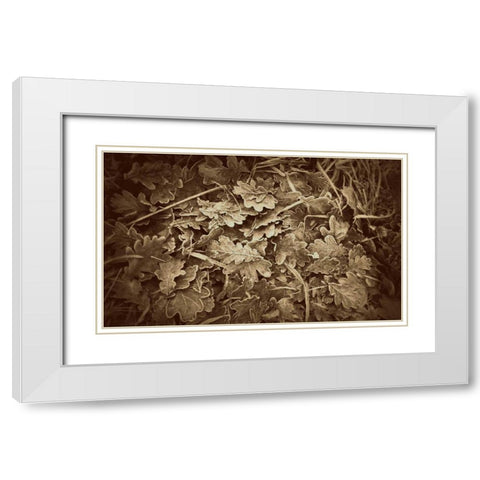 Autumn Leaves White Modern Wood Framed Art Print with Double Matting by Bell, Lillian