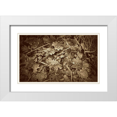 Autumn Leaves White Modern Wood Framed Art Print with Double Matting by Bell, Lillian