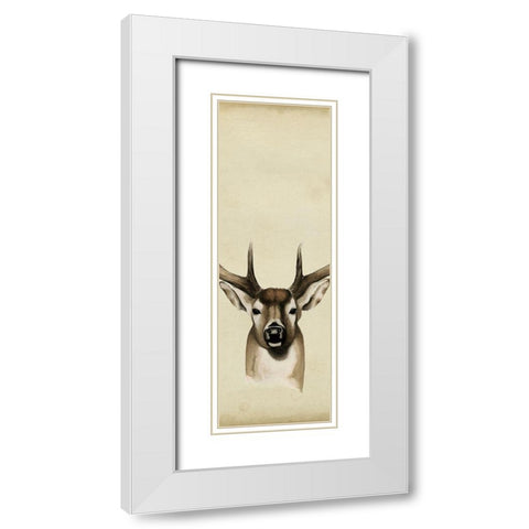 Triptych Whitetail II White Modern Wood Framed Art Print with Double Matting by Popp, Grace