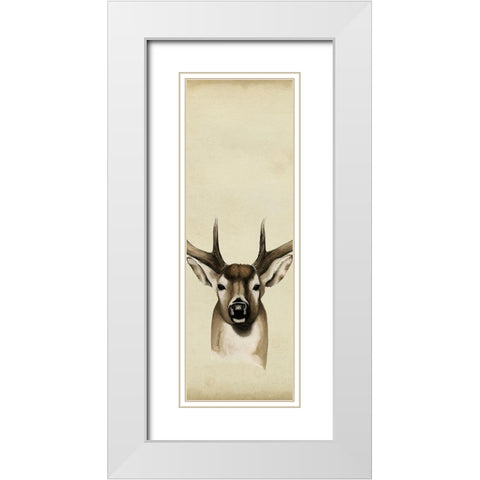 Triptych Whitetail II White Modern Wood Framed Art Print with Double Matting by Popp, Grace