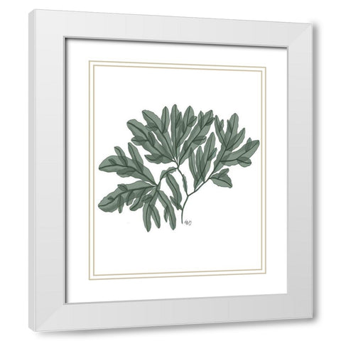 Seaweed 4 Green White Modern Wood Framed Art Print with Double Matting by Fab Funky