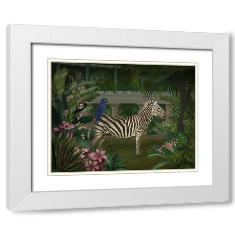 Zebra In Conservatory White Modern Wood Framed Art Print with Double Matting by Fab Funky