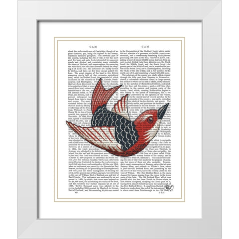 Sideshow Bird 4 Book Print White Modern Wood Framed Art Print with Double Matting by Fab Funky