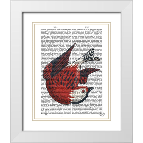 Sideshow Bird 5 Book Print White Modern Wood Framed Art Print with Double Matting by Fab Funky