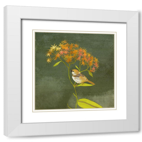 Birding Collection C White Modern Wood Framed Art Print with Double Matting by Zarris, Chariklia
