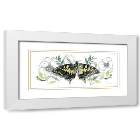 Watercolor Butterfly Collection D White Modern Wood Framed Art Print with Double Matting by Parker, Jennifer Paxton