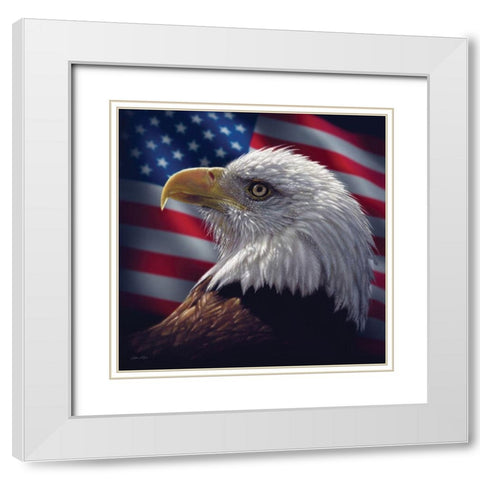 American Bald Eagle White Modern Wood Framed Art Print with Double Matting by Bogle, Collin