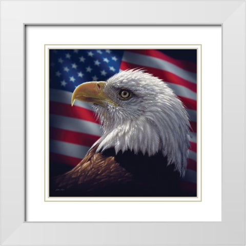 American Bald Eagle White Modern Wood Framed Art Print with Double Matting by Bogle, Collin