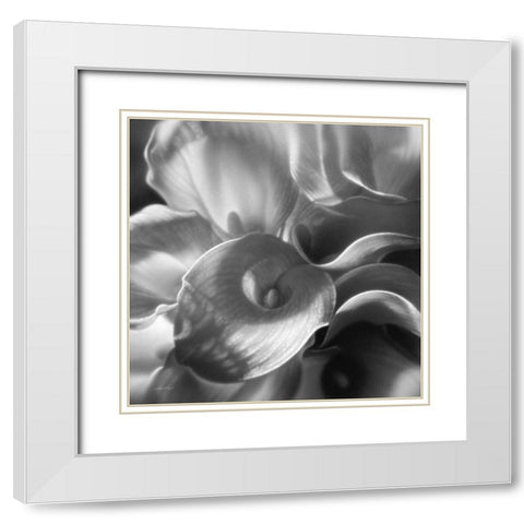 Calla Lillie Bouquet White Modern Wood Framed Art Print with Double Matting by Bogle, Collin