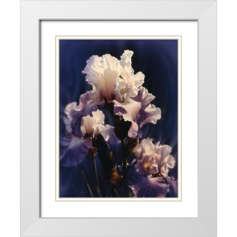 Purple Iris White Modern Wood Framed Art Print with Double Matting by Bogle, Collin