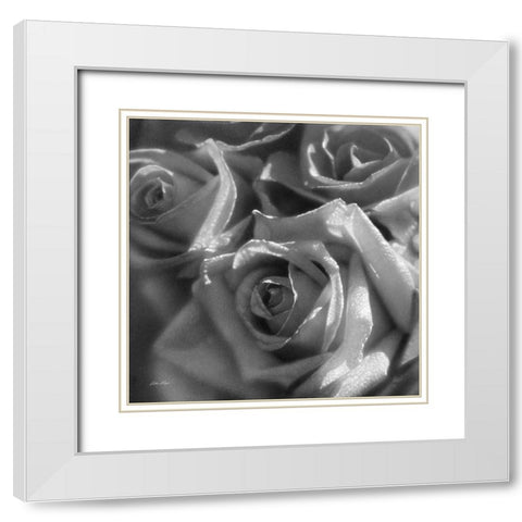 Rose Pedals BandW White Modern Wood Framed Art Print with Double Matting by Bogle, Collin
