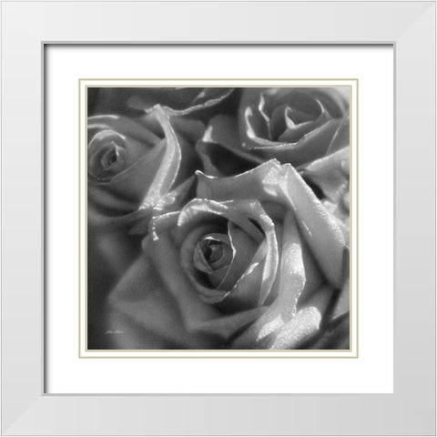 Rose Pedals BandW White Modern Wood Framed Art Print with Double Matting by Bogle, Collin
