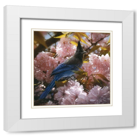 Stellers Blossoms White Modern Wood Framed Art Print with Double Matting by Bogle, Collin