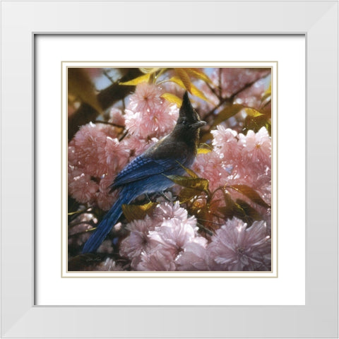 Stellers Blossoms White Modern Wood Framed Art Print with Double Matting by Bogle, Collin