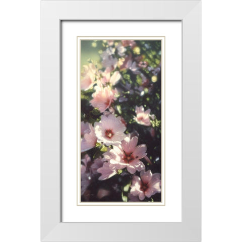 Summer Flowers White Modern Wood Framed Art Print with Double Matting by Bogle, Collin