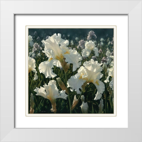 White Iris Garden - Square White Modern Wood Framed Art Print with Double Matting by Bogle, Collin