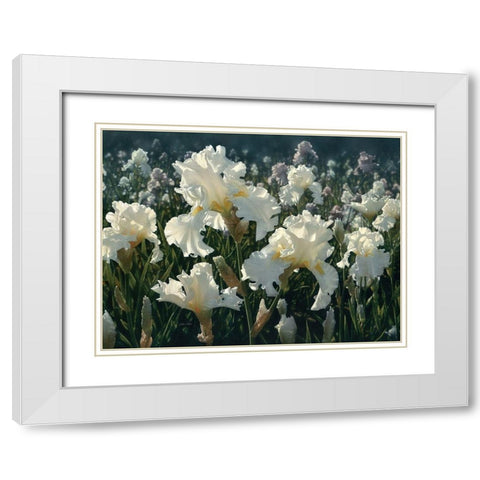 White Rose Garden White Modern Wood Framed Art Print with Double Matting by Bogle, Collin