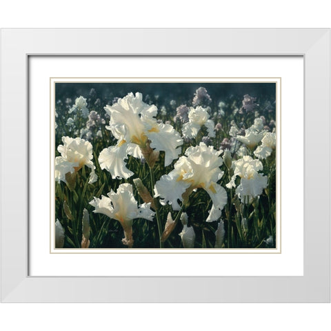 White Rose Garden White Modern Wood Framed Art Print with Double Matting by Bogle, Collin