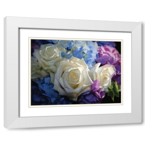 White Roses - Dancing Light White Modern Wood Framed Art Print with Double Matting by Bogle, Collin