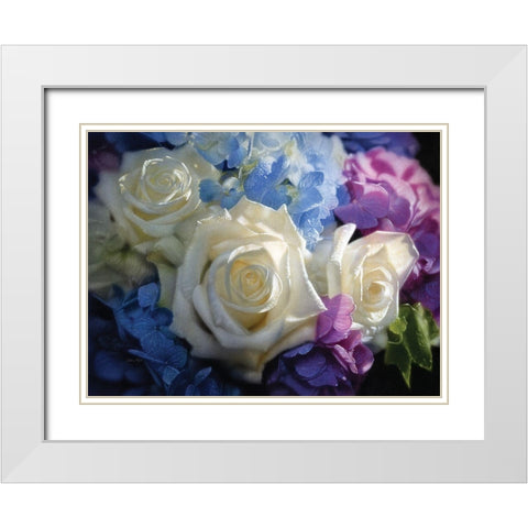 White Roses - Dancing Light White Modern Wood Framed Art Print with Double Matting by Bogle, Collin