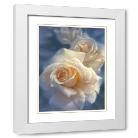 White Roses - Unforgettable White Modern Wood Framed Art Print with Double Matting by Bogle, Collin
