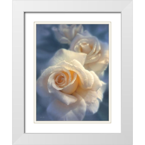 White Roses - Unforgettable White Modern Wood Framed Art Print with Double Matting by Bogle, Collin
