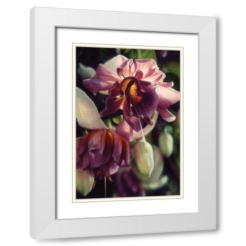 Fuchsia White Modern Wood Framed Art Print with Double Matting by Bogle, Collin