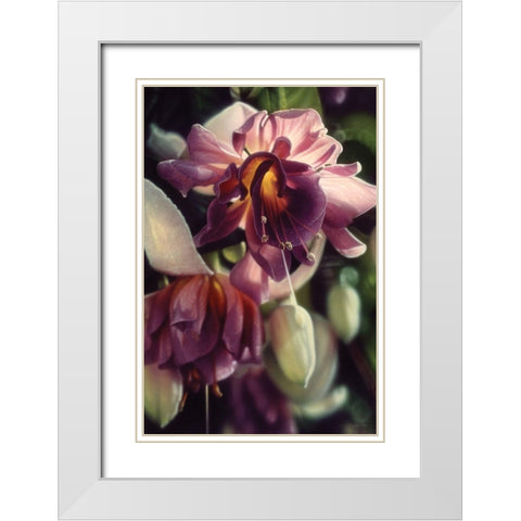 Fuchsia White Modern Wood Framed Art Print with Double Matting by Bogle, Collin