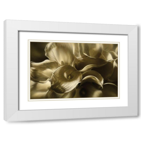 Golden Lilies White Modern Wood Framed Art Print with Double Matting by Bogle, Collin