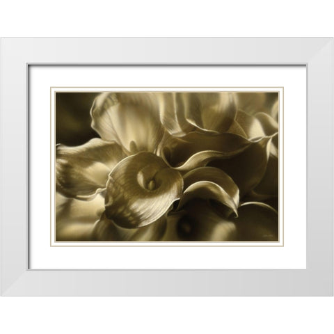 Golden Lilies White Modern Wood Framed Art Print with Double Matting by Bogle, Collin