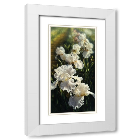 Iris Garden White Modern Wood Framed Art Print with Double Matting by Bogle, Collin