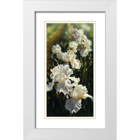 Iris Garden White Modern Wood Framed Art Print with Double Matting by Bogle, Collin