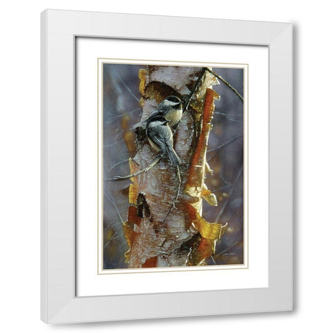 Black-Capped Chickadees - Sunlit Birch White Modern Wood Framed Art Print with Double Matting by Bogle, Collin